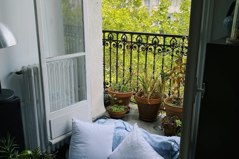Fenêtre ouverte sur un balcon en fer forgé garni de plantes